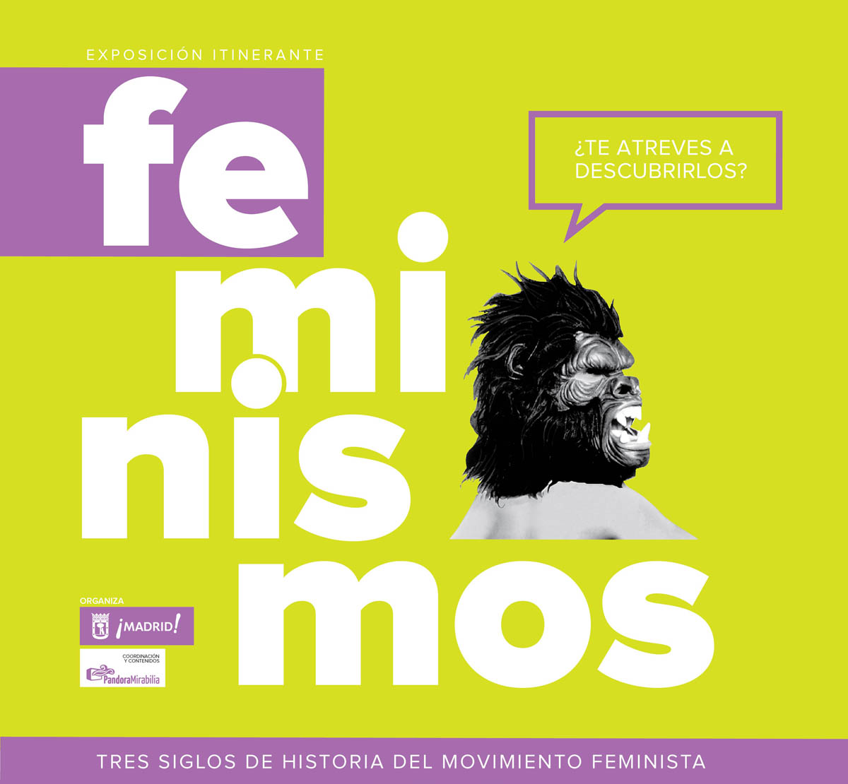 Gu As Descargables De Las Exposiciones De Feminismos Y Violencias